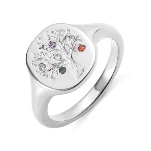 Anello con sigillo personalizzato con pietra del parto dell'albero genealogico