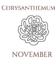 November chrysanthemum