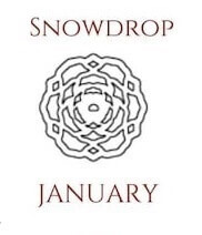 January  Snowdrop