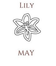 May lily